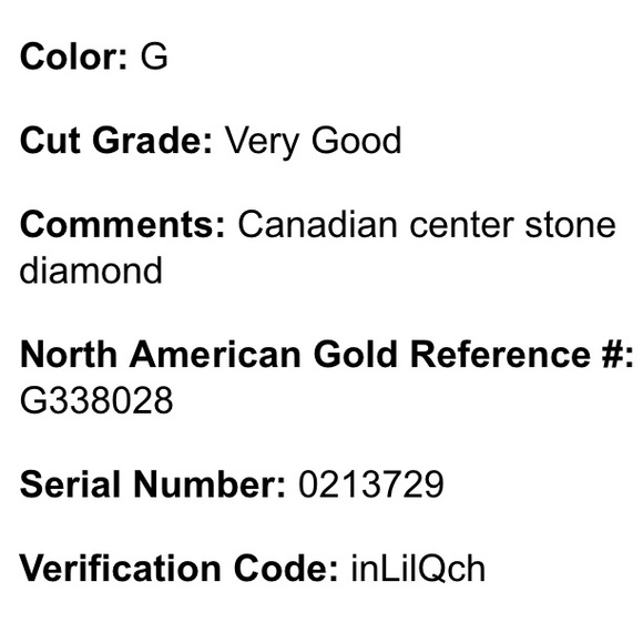 14K 0.36CT Diamond Ring Halo Princess Cut Littman Jewelers CLEANED & POLISHED - Picture 15 of 15